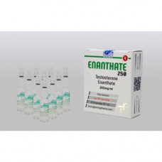 TESTOSTERONE ENANTHATE 2 Ml 250 Mg GENERICS PHARMA